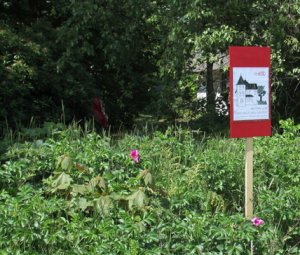 Schild in der Westerheide