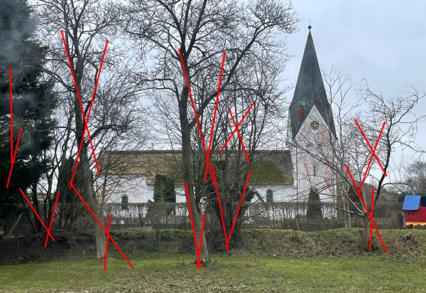 baumweg baumweg